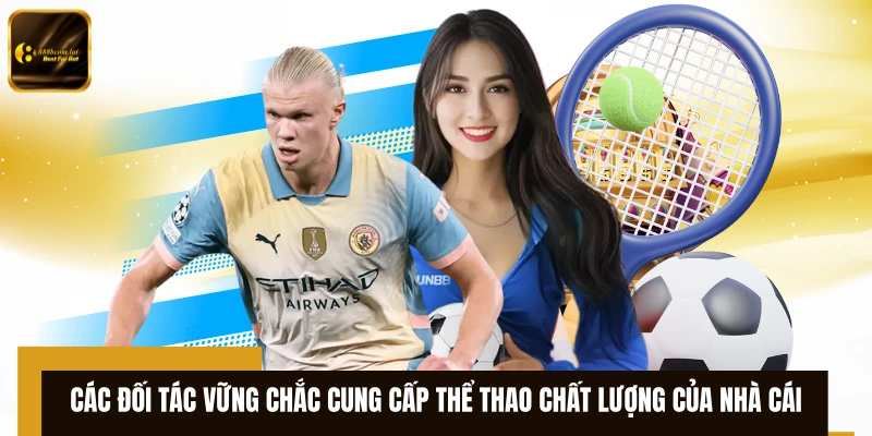 Các đối tác vững chắc cung cấp thể thao chất lượng của nhà cái