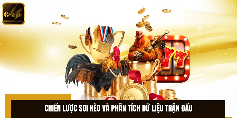 Chiến lược soi kèo và phân tích dữ liệu trận đấu