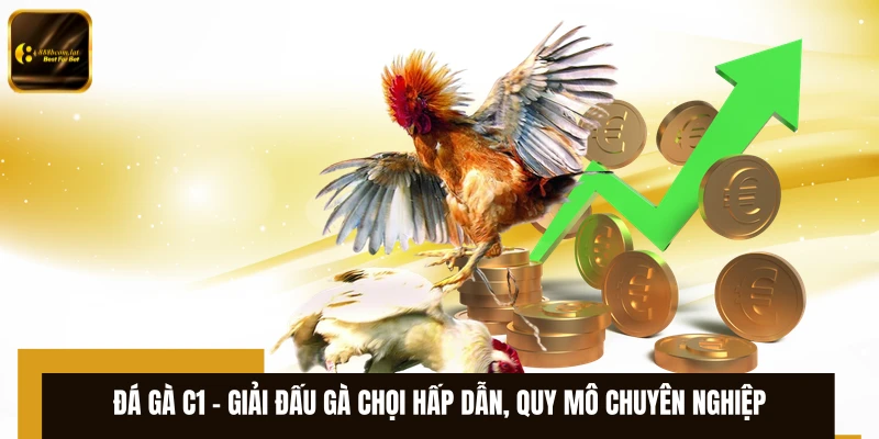 Đá Gà C1 – Giải Đấu Gà Chọi Hấp Dẫn, Quy Mô Chuyên Nghiệp