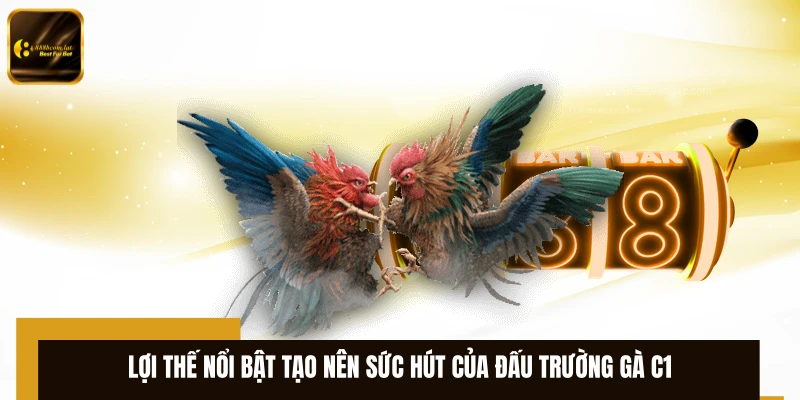 Lợi thế nổi bật tạo nên sức hút của đấu trường gà C1
