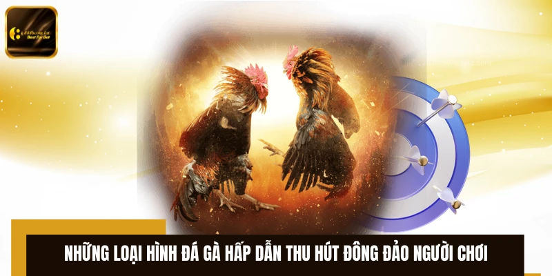 Những loại hình đá gà hấp dẫn thu hút đông đảo người chơi